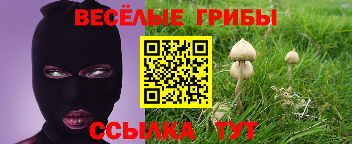 Галлюциногенные грибы мицелий Анапа