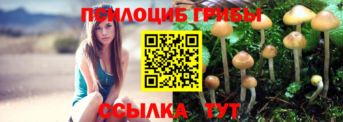 Анапа  наркошоп  Вход с VPN  Галлюциногенные грибы Magic Shrooms 